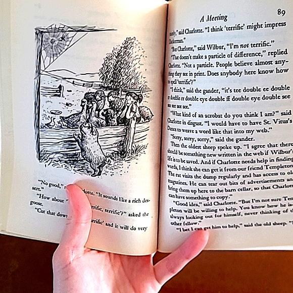 📚 Charlotte's Web  ♡ U Must Bundle! ♡ for by E.B. White Book - Picture 3 of 3